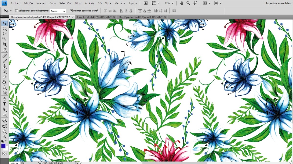 Adobe illustrator