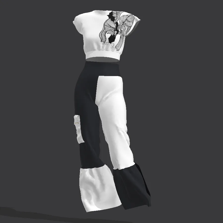 Clo3D